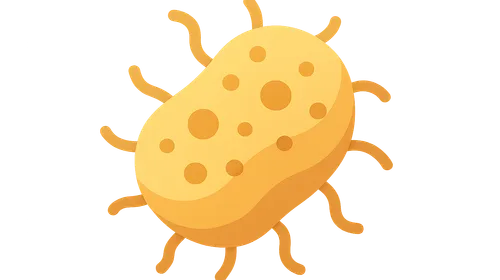 Emerging Bacterial Infections