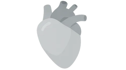 Beta-blockers, ACE-I/ARBs, statins