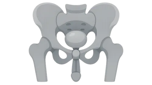 Male Pelvic Imaging