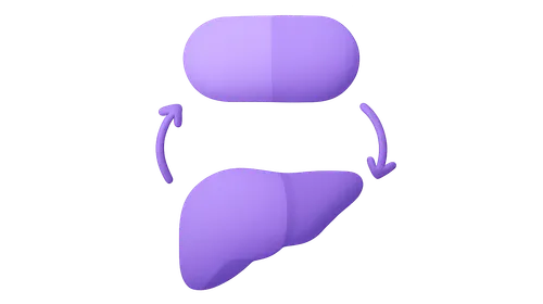 Biotransformation and Metabolism Pathways