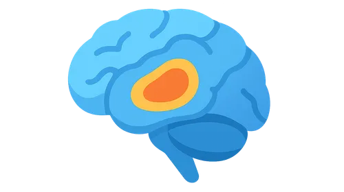 Functional Neuroimaging