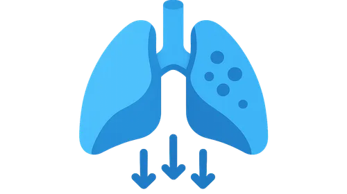 Hypoxemia mechanisms