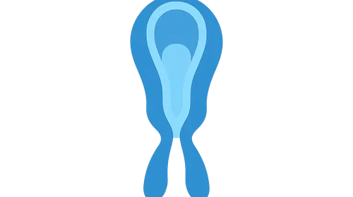 Neurulation and neural tube development