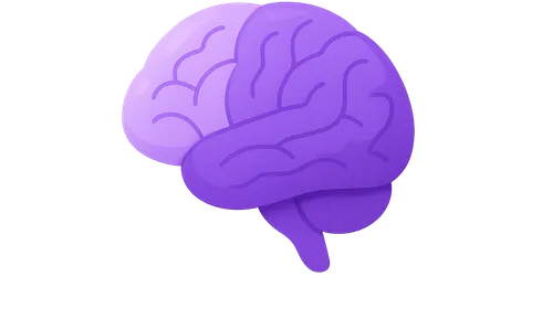 Cerebral cortex and lobes