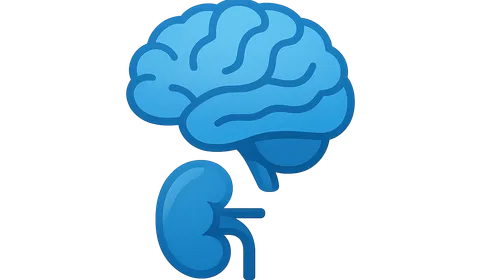 Organ Transplantation Psychiatry