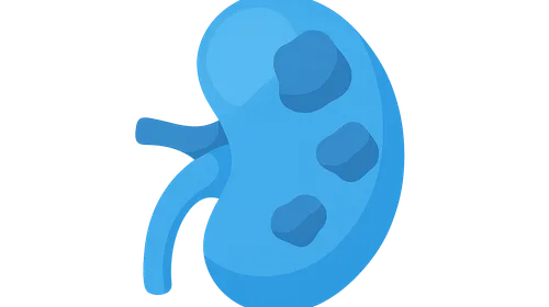 Kidney in Systemic Diseases