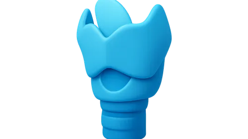 Anatomy of the Larynx