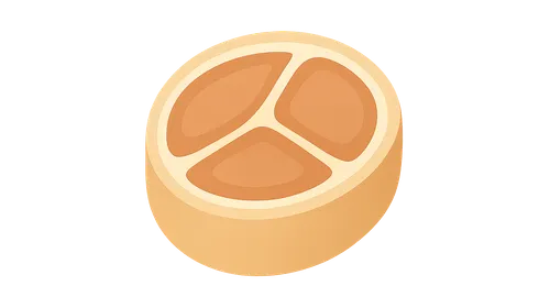 Fascial compartments