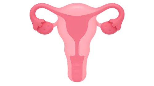 Female Reproductive Physiology