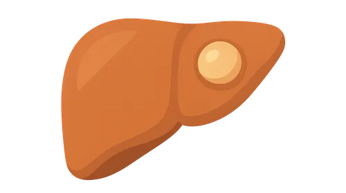 Benign Liver Lesions