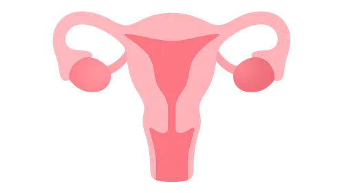 Evaluation of Female Sexual Dysfunction