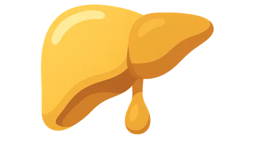 Bilirubin Metabolism and Jaundice
