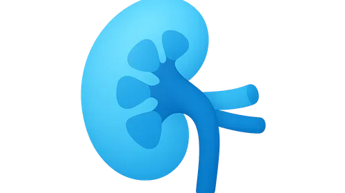 Metabolic alkalosis mechanisms and compensation