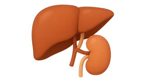 Liver transplantation