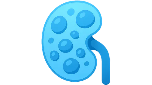 Cystic Diseases of the Kidney