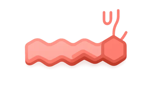 Prostaglandins and Eicosanoids