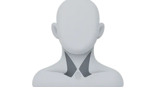 Triangles of the neck