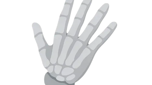 Hand Anatomy and Biomechanics