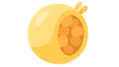 Lipoprotein Metabolism and Transport