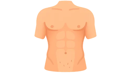 Abdominal surface landmarks