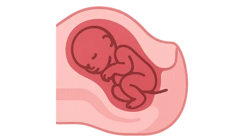 Cesarean Section Techniques