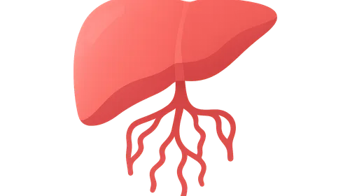 Portal hypertension complications