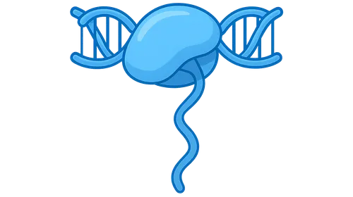 Transcription: RNA Synthesis