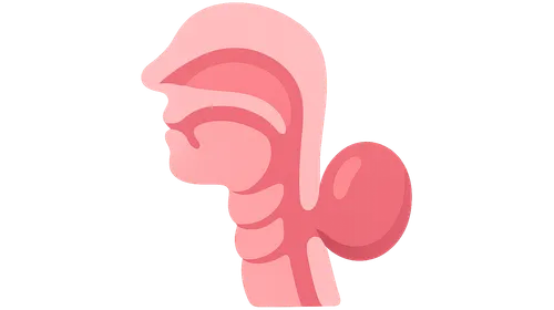 Clinical correlations of pharyngeal development