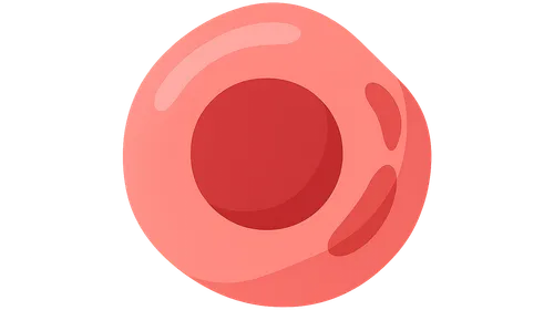 Plasma cell disorders