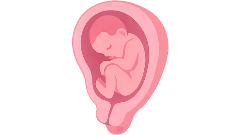 Stages of Labor and Normal Progression