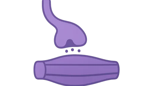 Nerve and Muscle Physiology