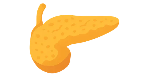 Chronic pancreatitis pathophysiology