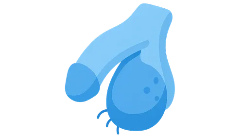 Diseases of Male Genital Tract