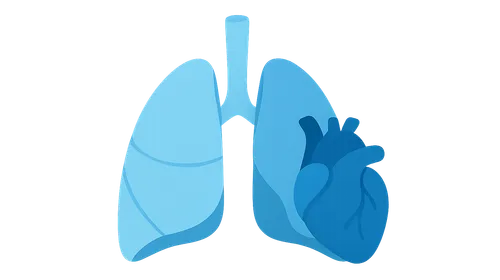 Normal V/Q distribution