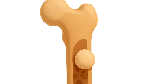 Calcium and Bone Metabolism