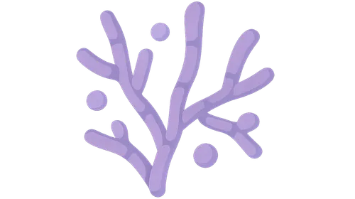 Actinomyces and Nocardia