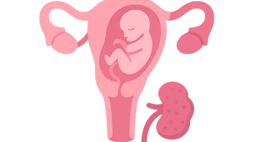 Diabetes in Pregnancy