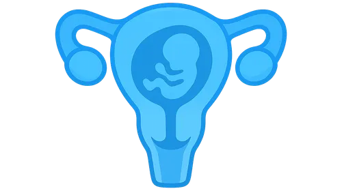 Medical Termination of Pregnancy Act