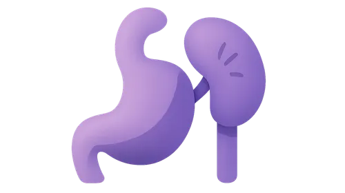 Spleen development