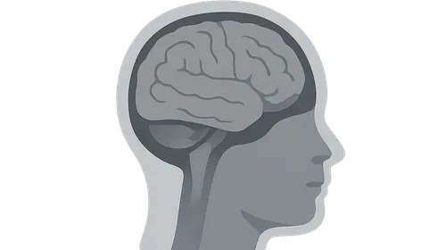Cross-sectional Anatomy: Brain and Head
