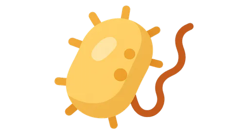 Genetics of Antimicrobial Resistance