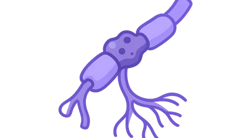 Peripheral nerve disorders