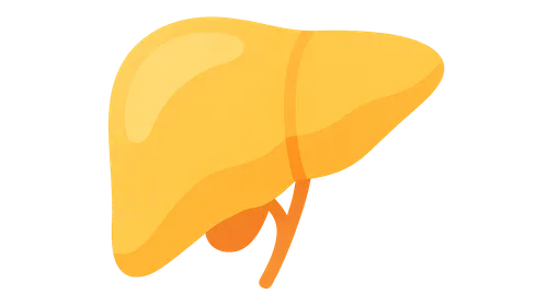 Jaundice and Cholestasis