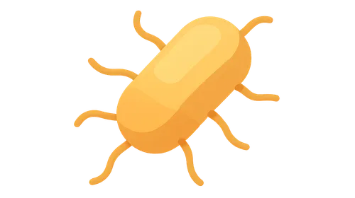 Clostridium difficile infection
