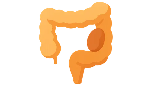 Large bowel obstruction