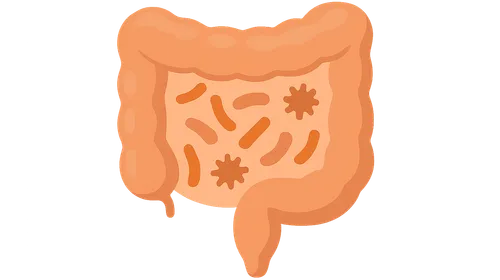 Gut Microbiome