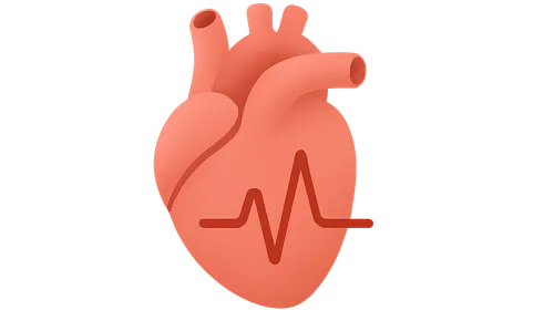 Bradyarrhythmias and conduction disorders