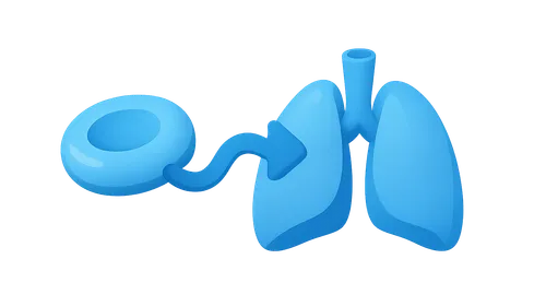 Carbon dioxide transport