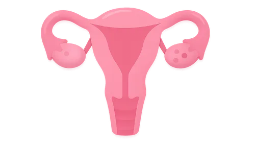 Reproductive Physiology