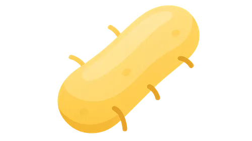 Antimycobacterial Drugs